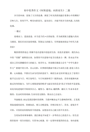 初中优秀作文《何惧逆境向阳而生》二篇.docx