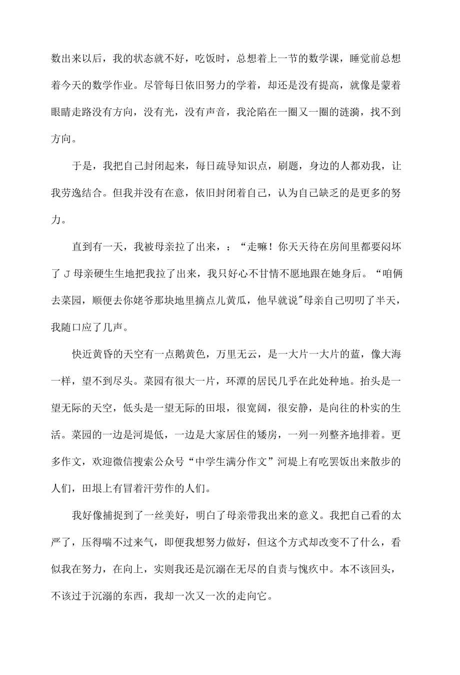 初中优秀作文《何惧逆境向阳而生》二篇.docx_第3页