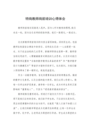 特岗教师岗前培训心得体会交流发言六篇.docx