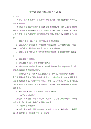 清洗洗涤公司售后服务承诺书.docx