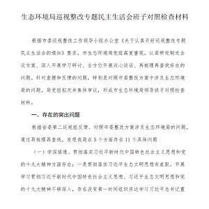生态环境局巡视整改专题民主生活会班子对照检查材料.docx