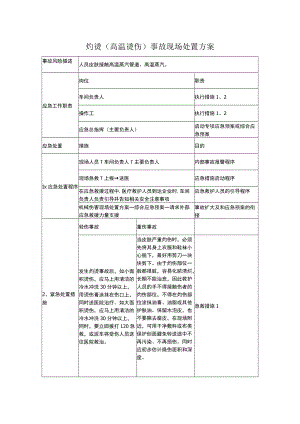 灼烫（高温烫伤）事故现场处置方案.docx