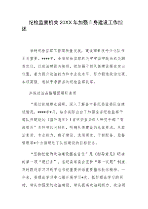 纪检监察机关2022加强自身建设工作综述.docx