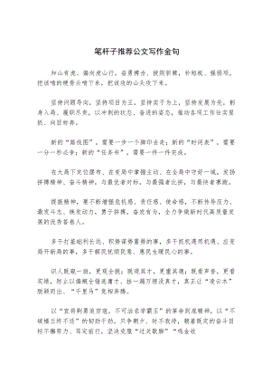 笔杆子推荐公文写作金句(1).docx