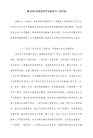 镇2021安全生产总结及下一步计划.docx