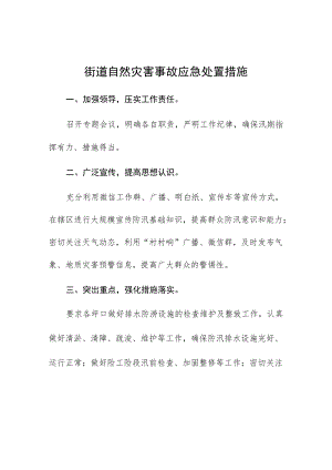 街道自然灾害事故应急处置措施.docx