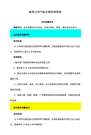集团公司气象灾害防御措施.docx