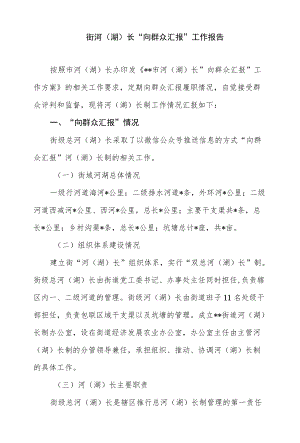 街河（湖）长“向群众汇报”工作报告.docx