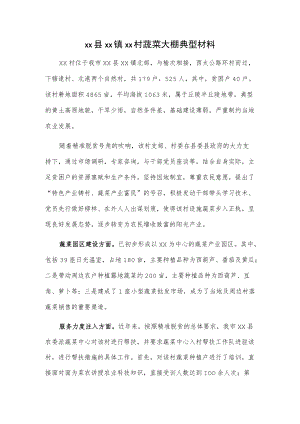 xx县xx镇xx村蔬菜大棚典型材料.docx