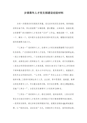 乡镇青人才党支部建设经验材料.docx