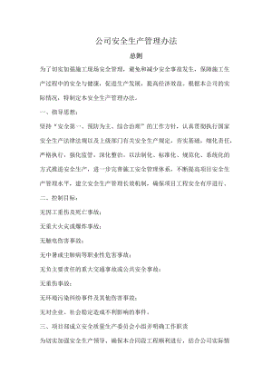 公司安全生产管理办法.docx