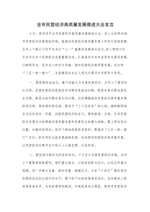 全市民营经济高质量发展推进大会发言.docx