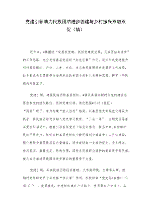 党建引领 助力民族团结进步创建与乡村振兴双融双促（镇）.docx