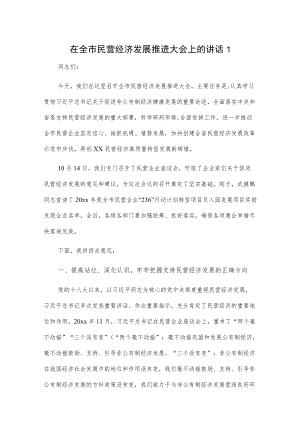 在全市民营经济发展推进大会上的讲话2篇.docx