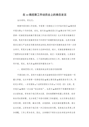 在xx镇巡察工作动员会上的表态发言.docx