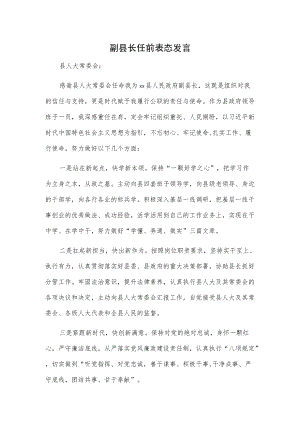 副县长任前表态发言.docx
