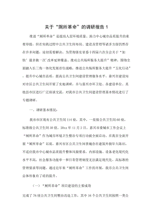 关于“厕所革命”的调研报告2篇.docx