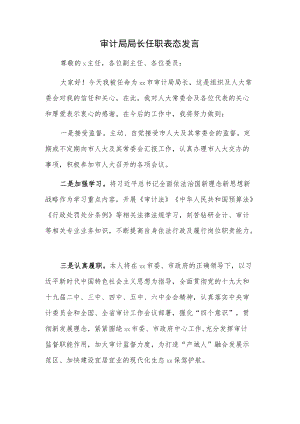 审计局局长任职表态发言.docx