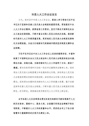 市委人大工作会议发言.docx