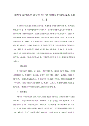区农业农村水利局全面推行区河湖长制深化改革工作汇报.docx