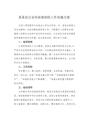 某某县公安局命案侦防工作实施方案.docx