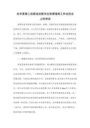 在市委第二巡察组巡察市应急管理局工作动员会上的讲话.docx