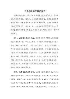 当选旗长后的表态发言.docx