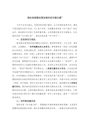 【工作研讨】强化巡视整改落实 做好“后半篇文章”.docx