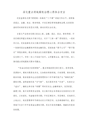 深化重点领域腐败治理心得体会发言.docx