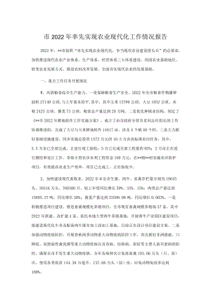 市2022率先实现农业现代化工作情况报告.docx