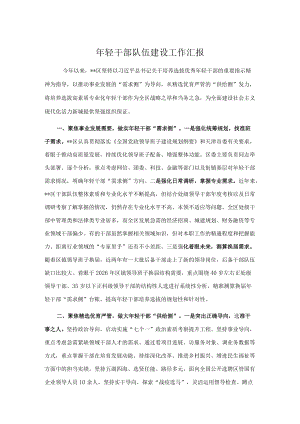 轻干部队伍建设工作汇报.docx
