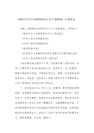 《新时代中小学教师职业行为十项准则》心得体会.docx