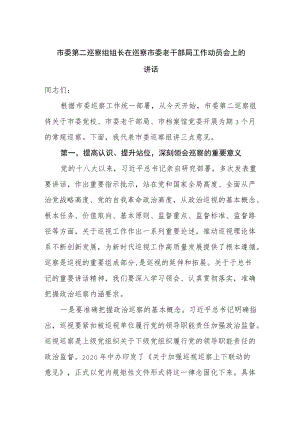 在巡察工作动员会上的讲话.docx
