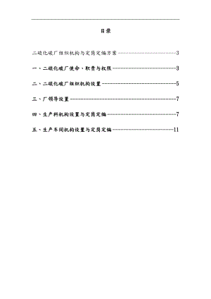 某公司二硫化碳厂组织机构与定岗定编方案.doc