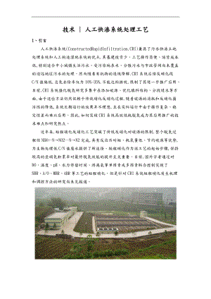 技术_人工快渗系统处理工艺.docx