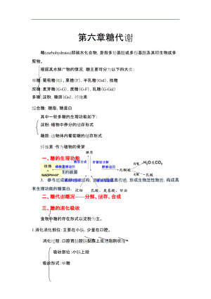 生物化学糖代谢知识点总结.docx