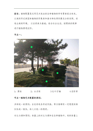 植物配置案例分析报告.docx