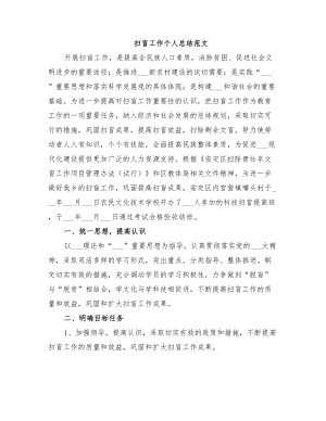 2022扫盲工作个人总结范文.doc