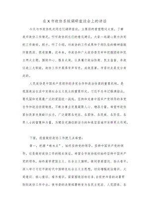 在×市政协系统调研座谈会上的讲话.docx
