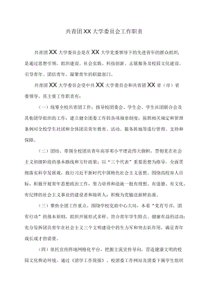 共青团XX大学委员会工作职责.docx
