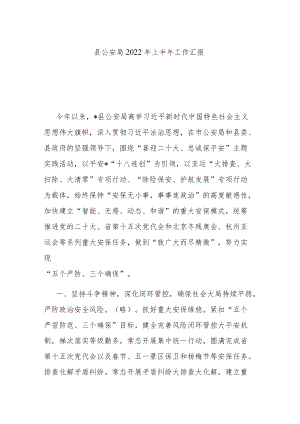 县公安局2022上半工作汇报.docx