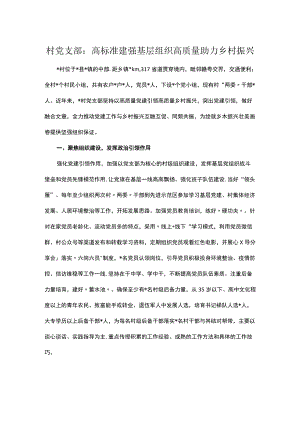 村党支部：高标准建强基层组织 高质量助力乡村振兴.docx