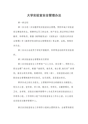 大学实验室安全管理办法范文.docx