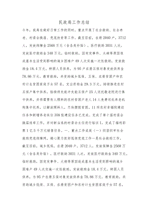 民政局工作总结2.docx