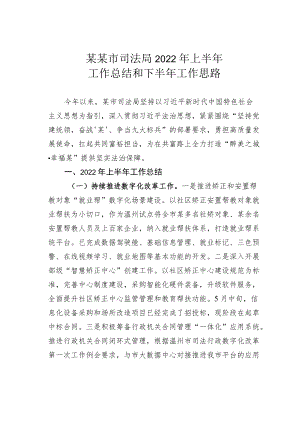 某某市司法局2022上半工作总结和下半工作思路.docx