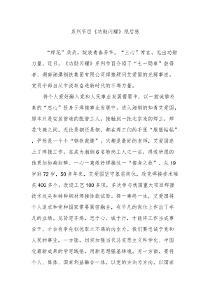 系列节目《功勋闪耀》观后感3篇.docx