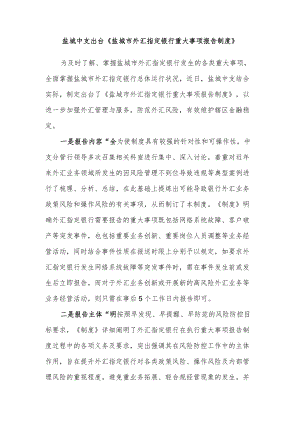 盐城中支出台《盐城市外汇指定银行重大事项报告制度》.docx