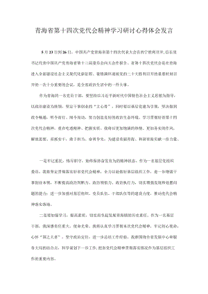 学习贯彻青海省第十四次党代会精神专题研讨心得体会发言 十篇.docx