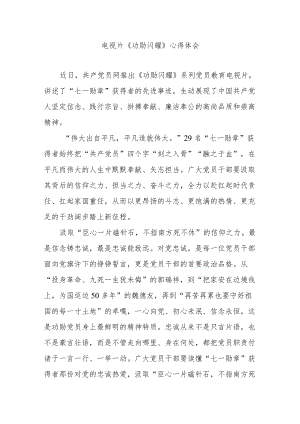 电视片《功勋闪耀》心得体会3篇.docx