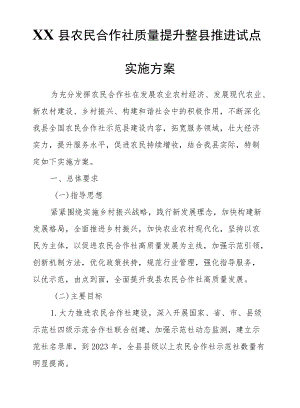 XX县农民合作社质量提升整县推进试点实施方案.docx